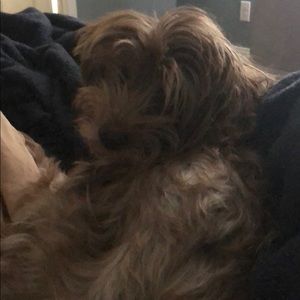 Meet your Posher, Ab